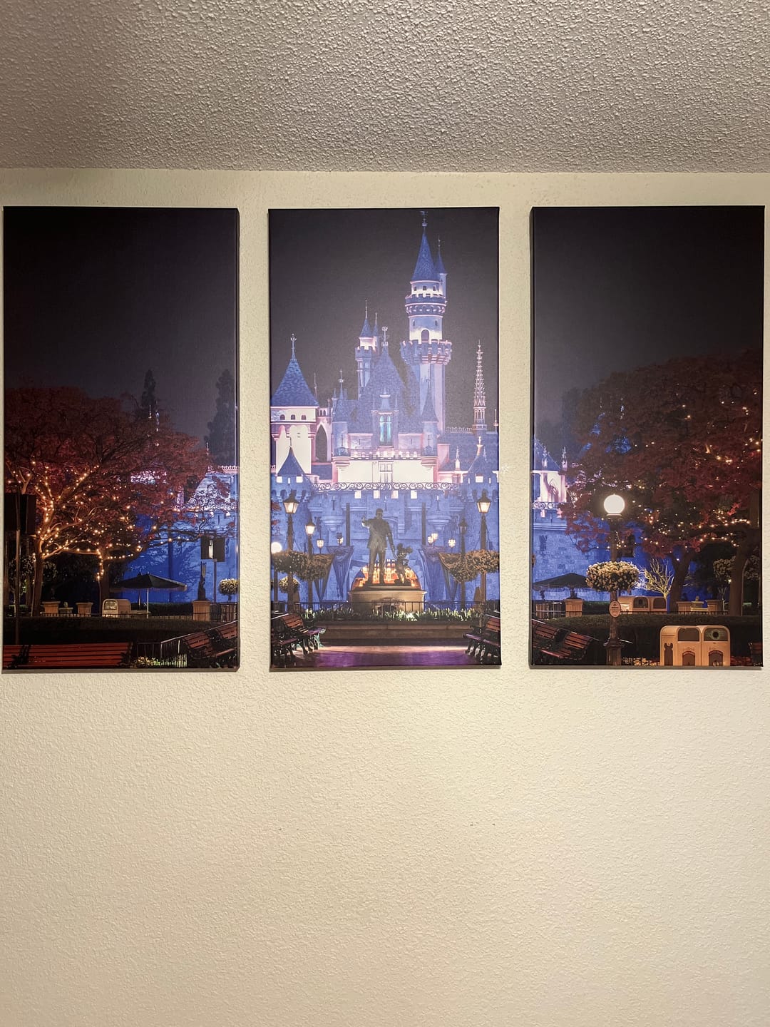 Customer photo review of Large Disney Castle Wall Art Canvas Print - Magic Kingdom Kids Room Decoration Disney World