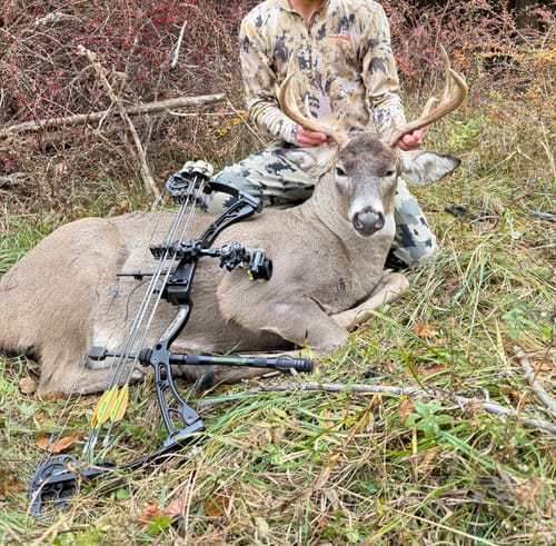 Customer photo review of Titanium Broadheads