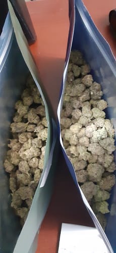Customer photo review of Blueberry Kush - Exotic Smalls