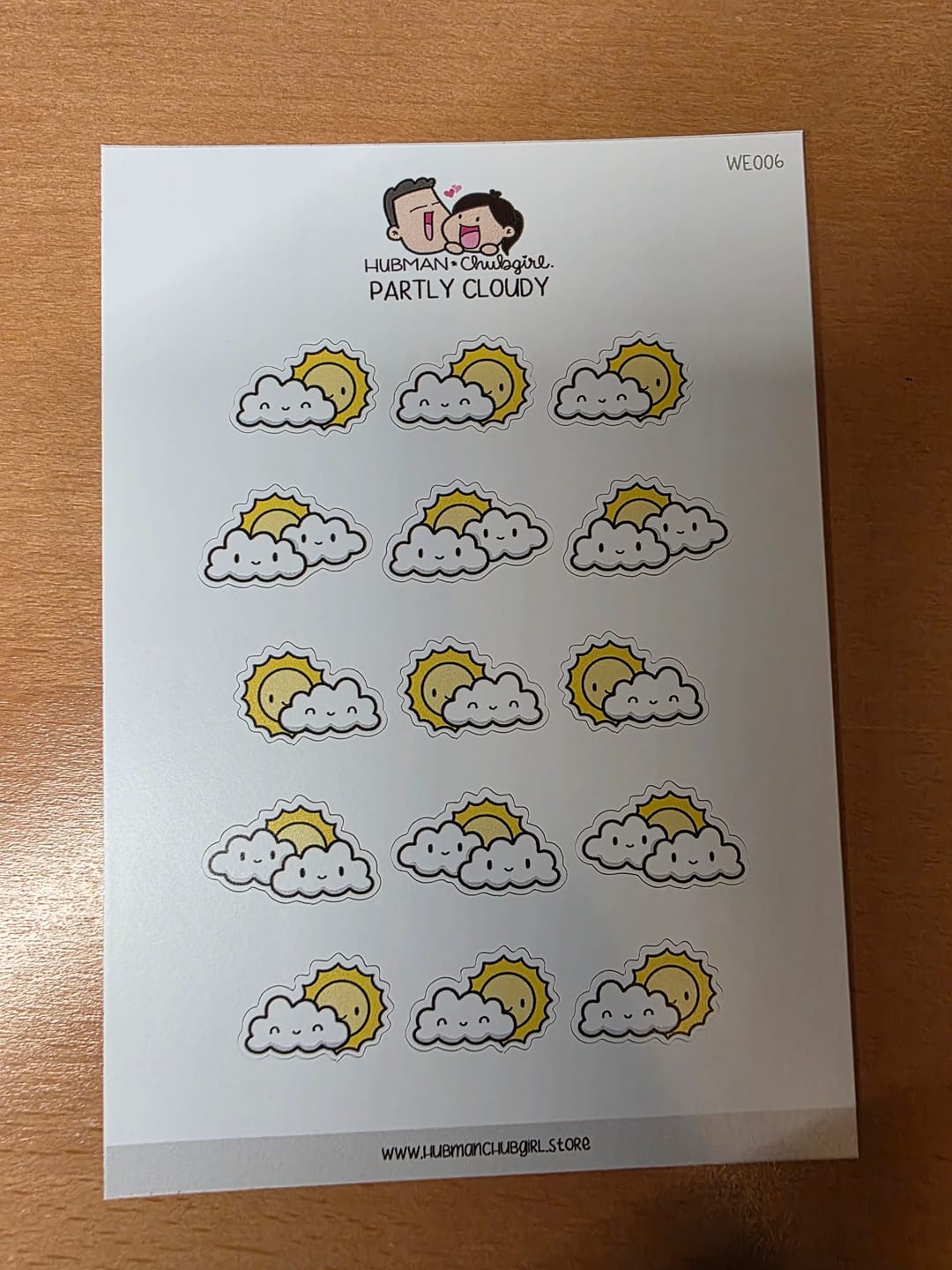 Customer photo review of Partly Cloudy Planner Stickers