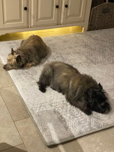 Customer photo review of The Mellow Mat® Designer Print | Light Grey (Soft Touch Sensory Tatami Rug)