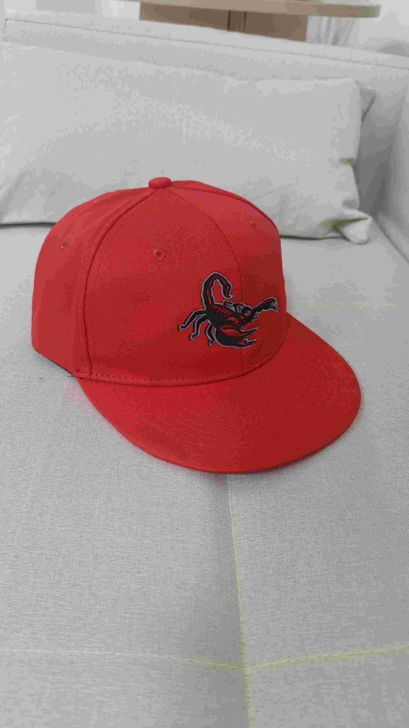 Customer photo review of Custom Black 3D Puff Embroidery Flat Embroidery Casual Sport Baseball Cap