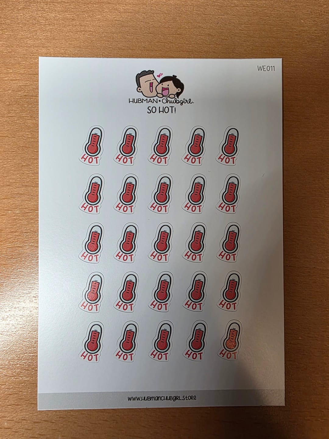 Customer photo review of So Hot! Planner Stickers