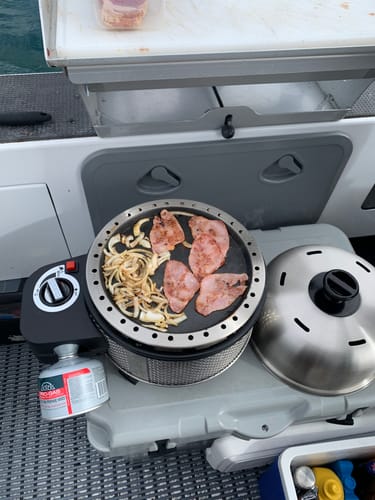 Customer photo review of COBB Grill Gas Bundle