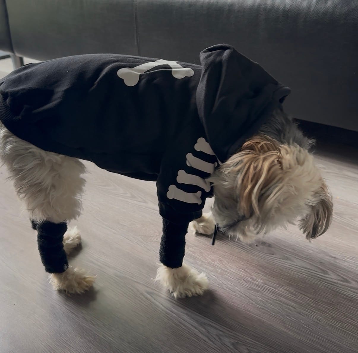 Customer photo review of Stretchy Fleece Dog Leg Warmer Sleeves
