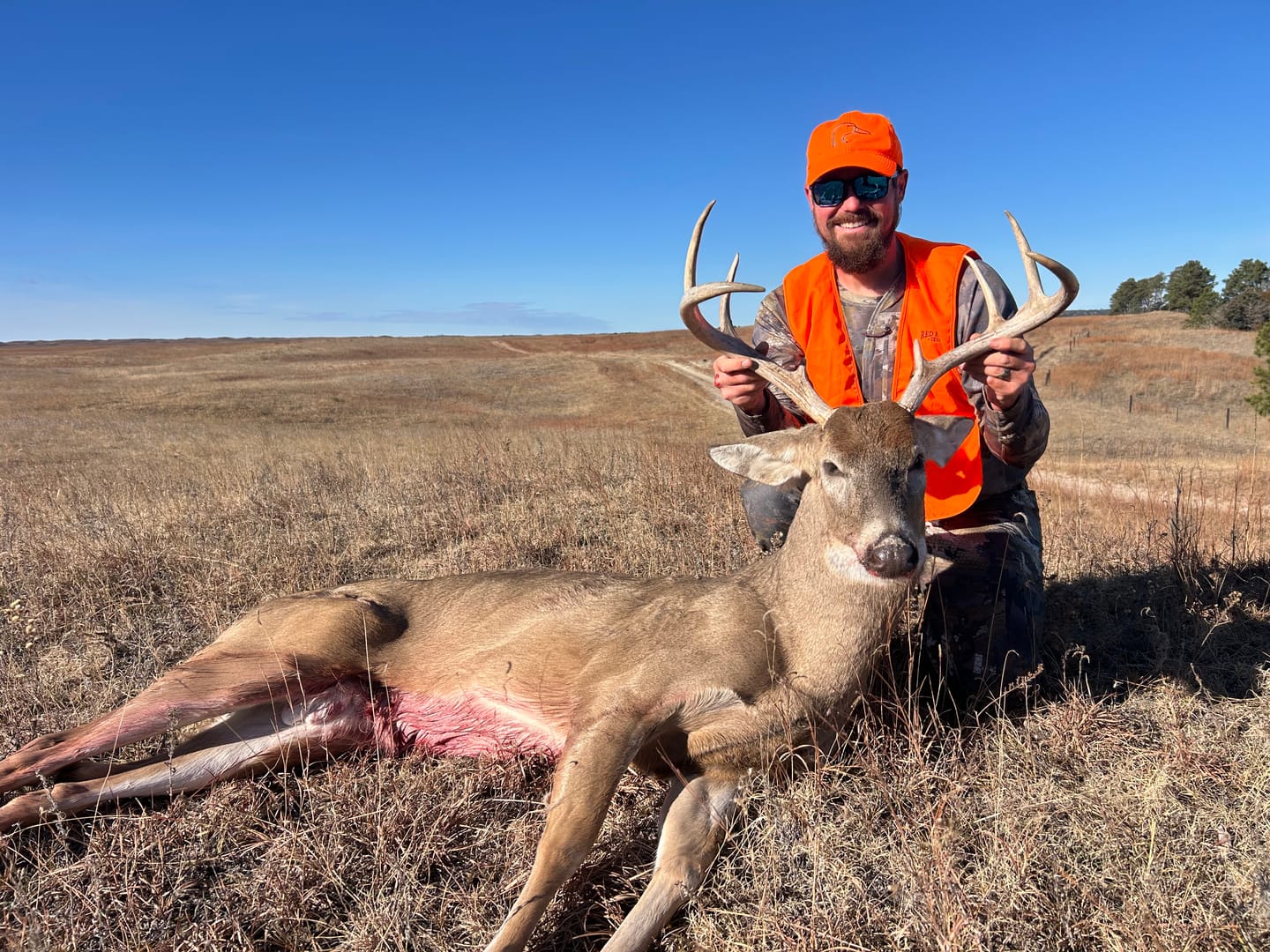 Customer photo review of Vis Series 270 Degree See Through Hunting Blind | Portable 2 3 4 Person Ground Blind | Camo Pop Up Ddeer Blind for Deer & Hunters