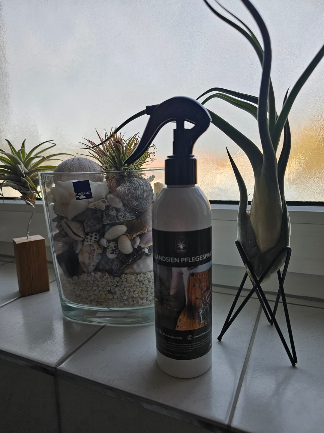 Customer photo review of Tillandsien Pflegespray