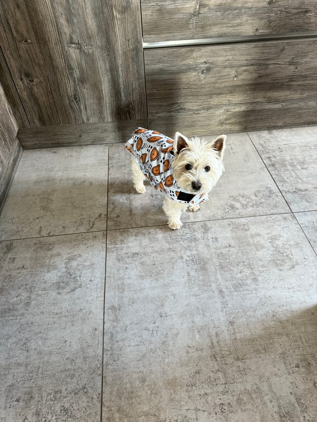 Customer photo review of Rain Jacket - Oggy Oggy Doggy