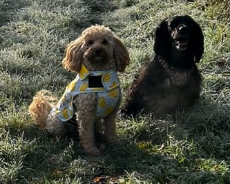 Customer photo review of Rain Jacket - You Quack Me Up!