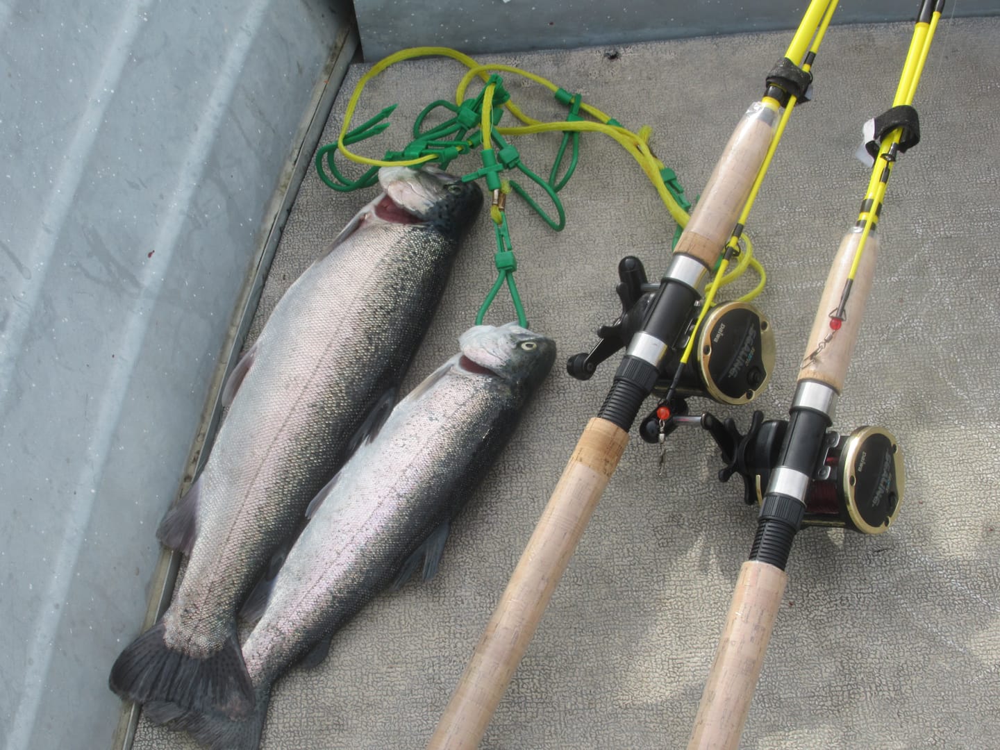 Customer photo review of Cal's Leadcore Trolling Rod