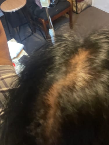 Customer photo review of Instant Dye Shampoo