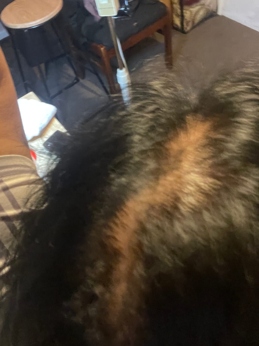 Customer photo review of Instant Dye Shampoo