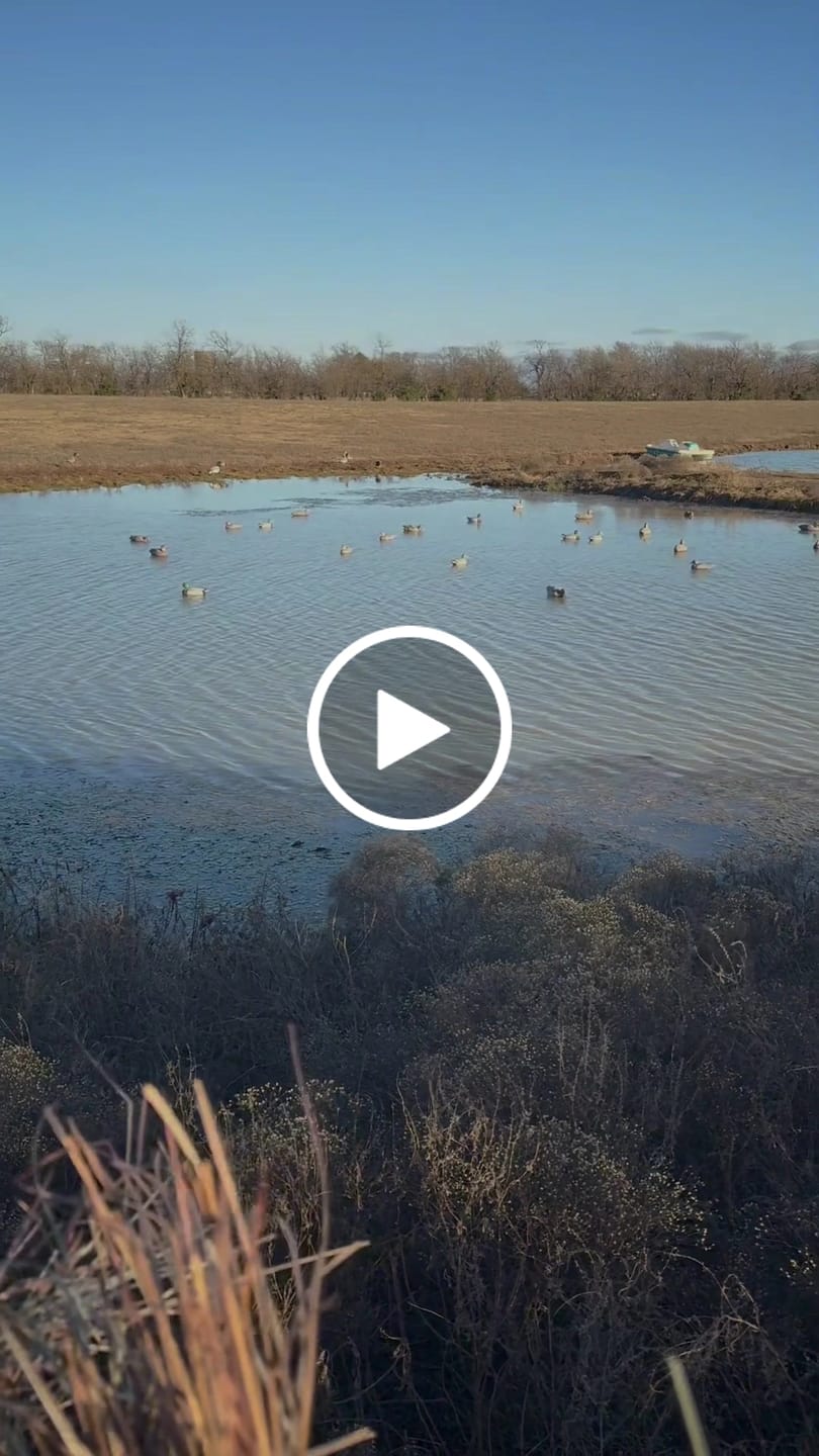 Customer video review of Modular Panel Hunting Blind | A-Frame Pop Up Duck & Goose Blinds | Portable 3-4 Person Waterfowl Ground Blind Camo