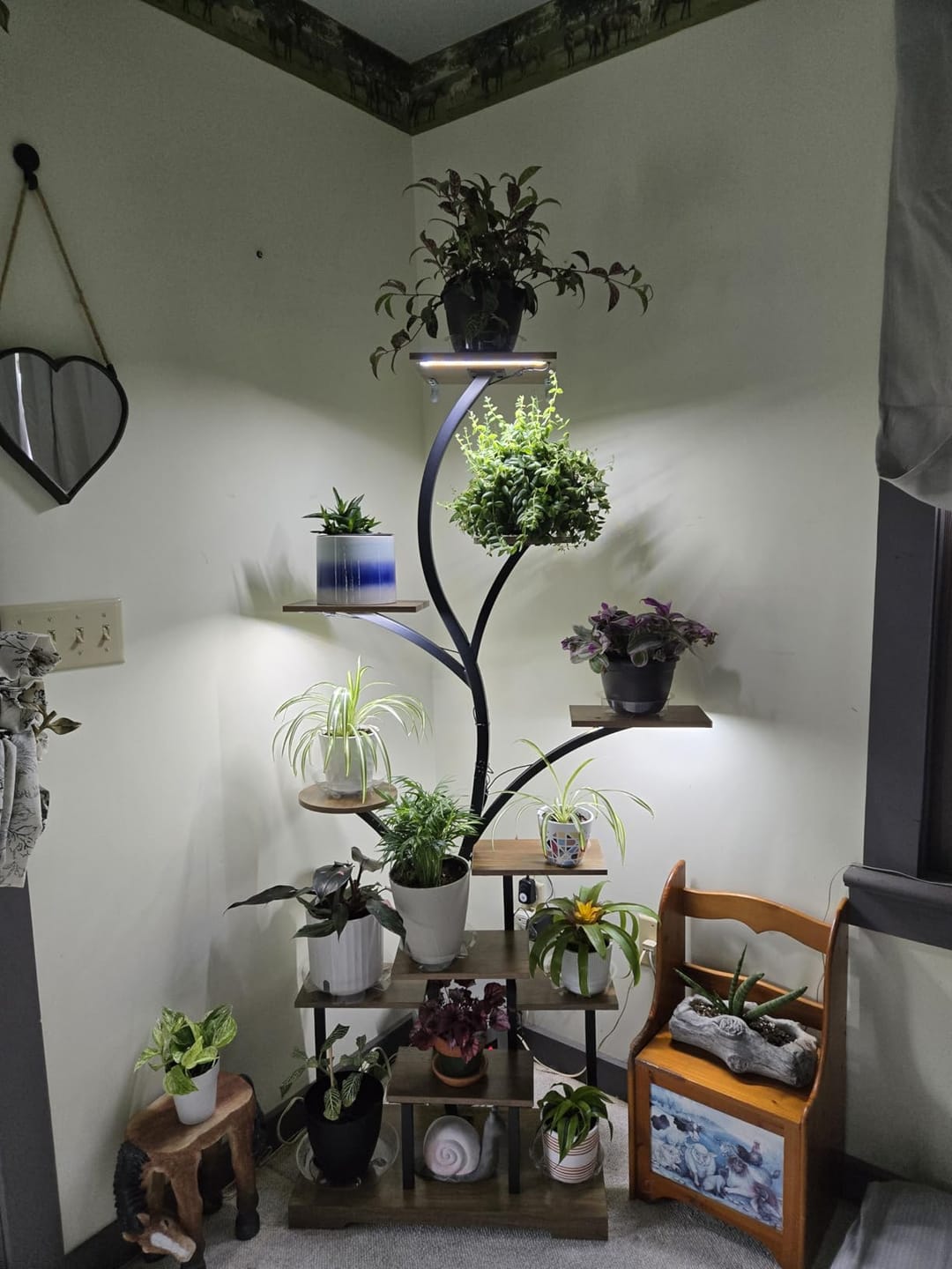 Customer photo review of 63" Indoor Plant Stand with Grow Lights