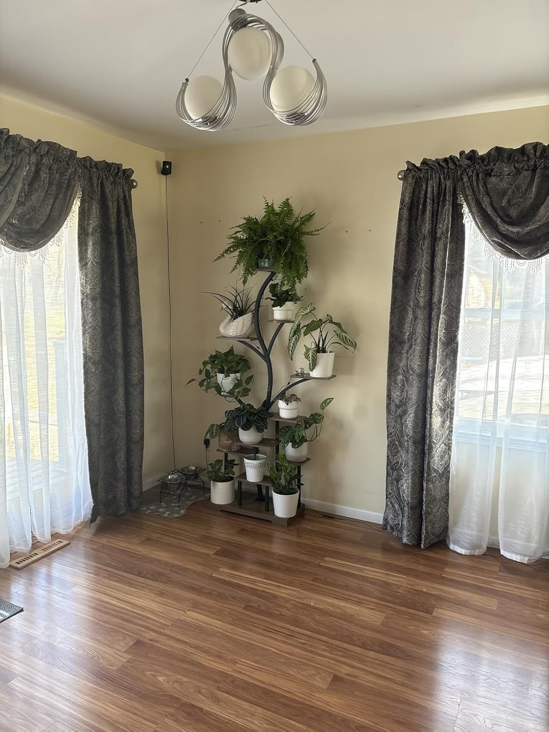 Customer photo review of 63" Indoor Plant Stand with Grow Lights