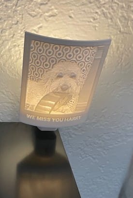 Customer photo review of Memory Frame™ Personalized Night Light
