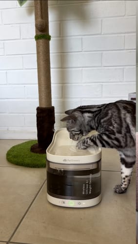 Customer photo review of Wireless Weight-Sensing Pet Fountain