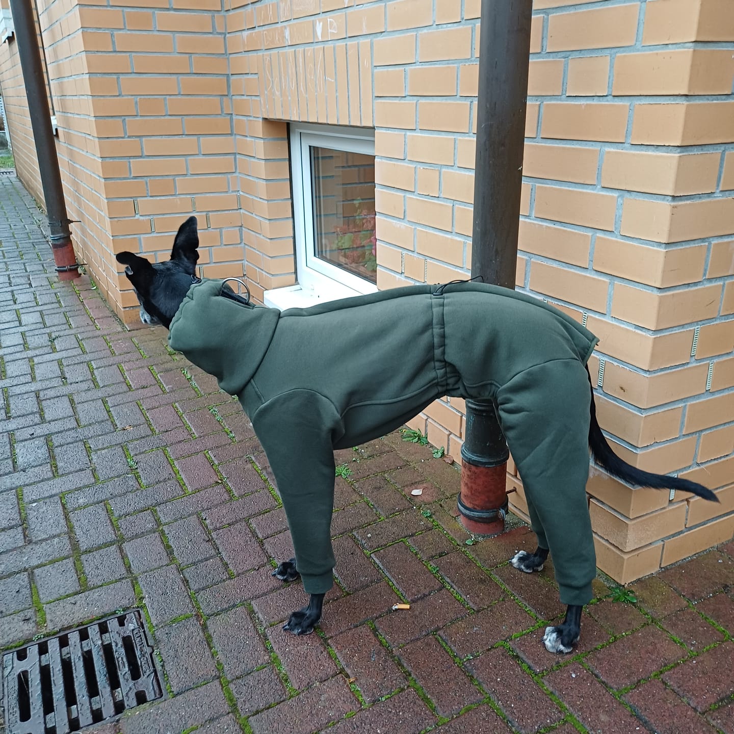 Customer photo review of Nuuk "Mountain Green"