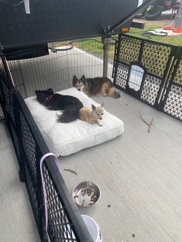 Customer photo review of Puppy Pen Portable Playpen for Outdoor