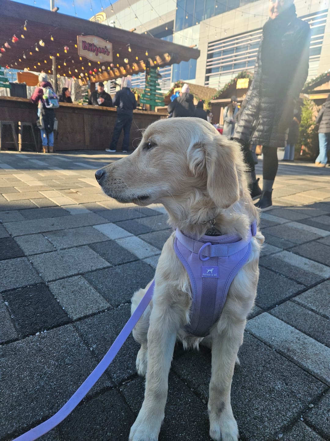 Customer photo review of Solace Waterproof Leash