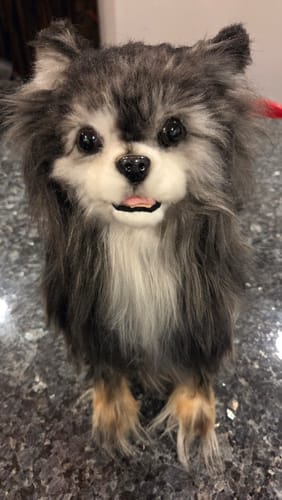 Custom Petslify plush reviewed by Jenny M., handmade replica of their cat