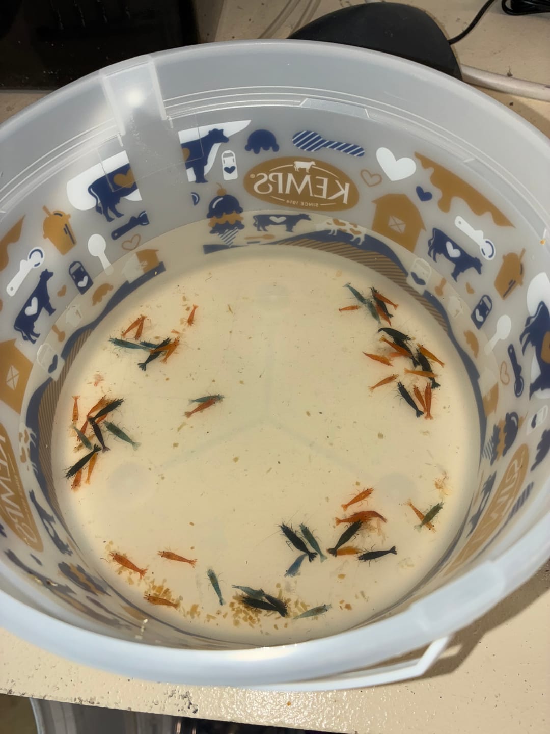 Customer photo review of Green Jade Shrimp
