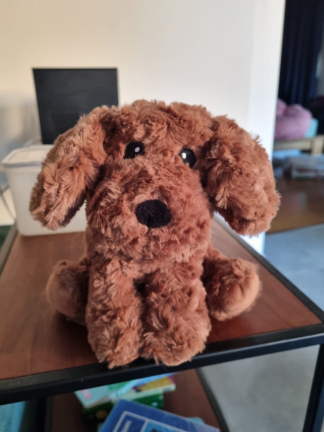 Customer photo review of 🐶 Pitou, le petit chiot
