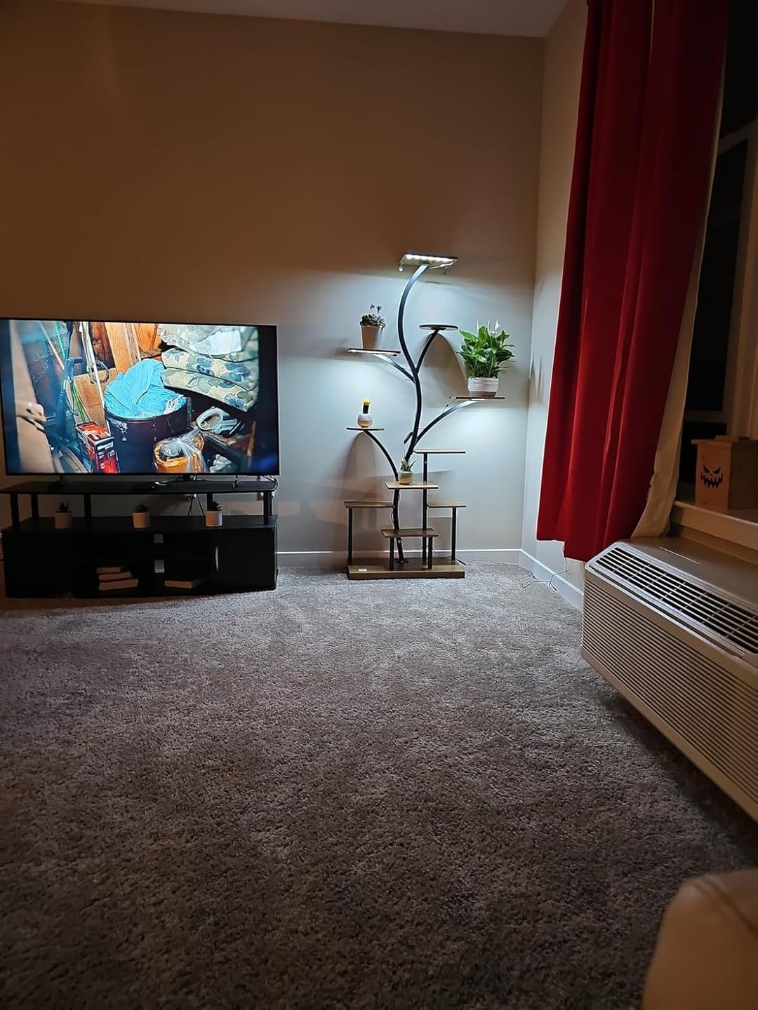 Customer photo review of 63" Indoor Plant Stand with Grow Lights