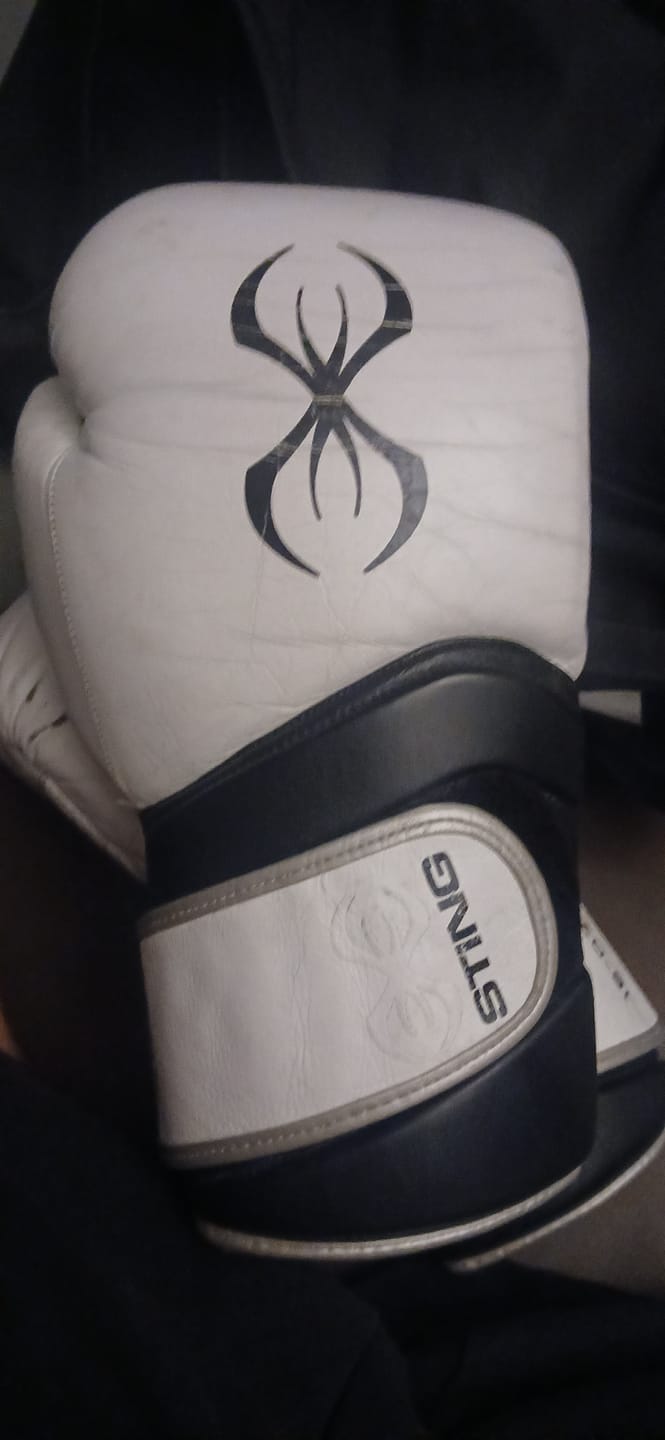 Customer photo review of Viper X Boxing Glove - Velcro