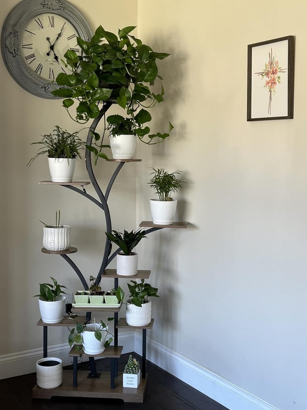 Customer photo review of 63" Indoor Plant Stand with Grow Lights
