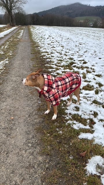 Customer photo review of Red Plaid Human Hoodie