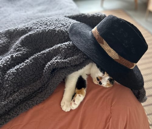 Reseña con foto de un cliente sobre Sombrero Detalle Cinta Paradiso