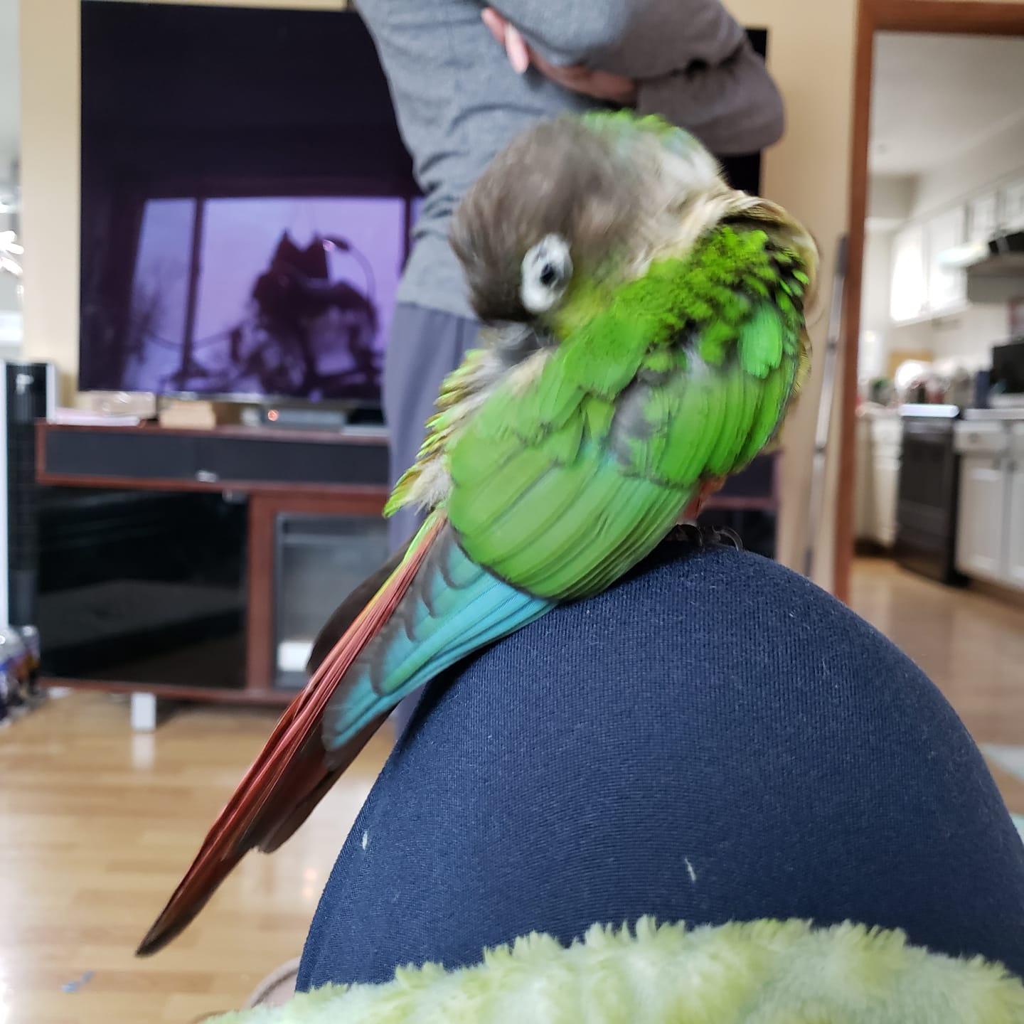 Customer photo review of Balsa & Cork Double Stack by Cheep Thrills Bird Toys