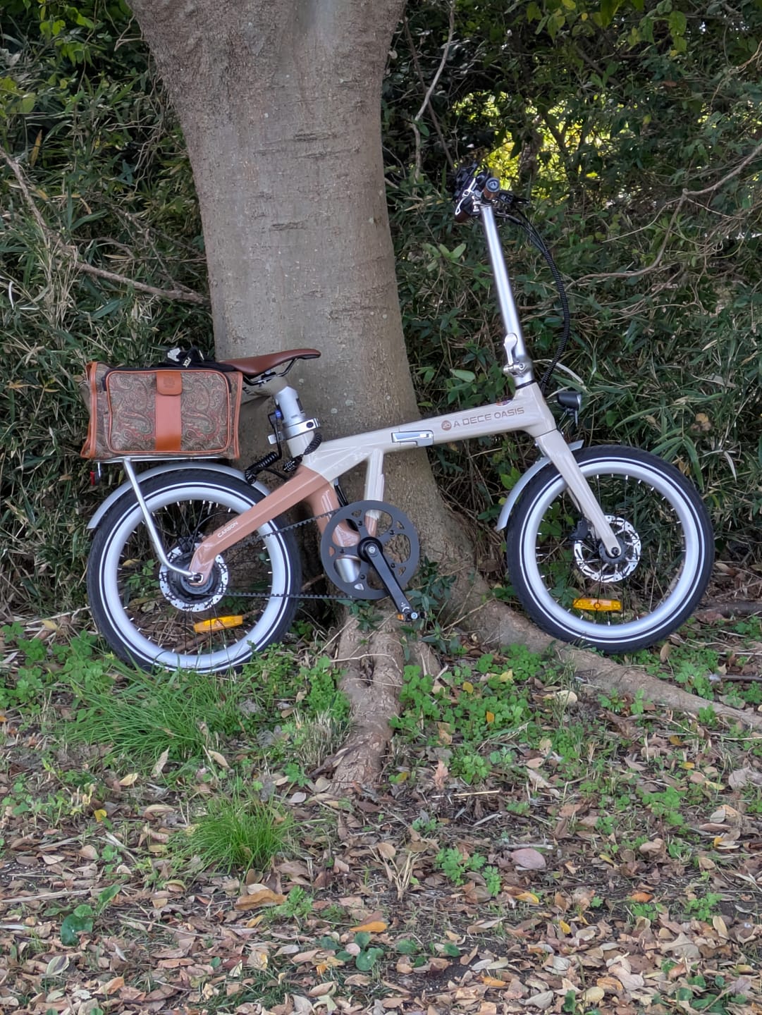 Customer photo review of Air Carbon 折りたたみ電動アシスト自転車