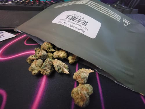 Customer photo review of Value Indoor Smalls