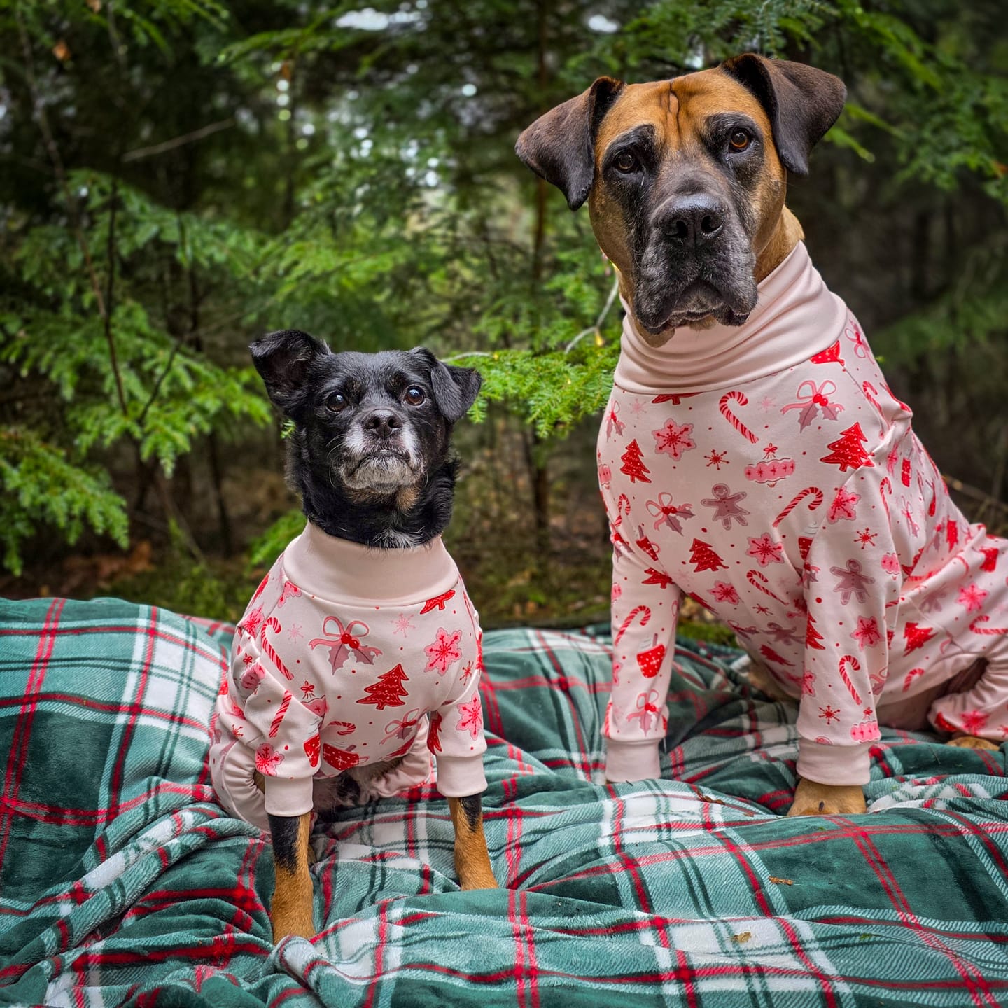 Customer photo review of Dog Christmas Pajama - Candy Cane