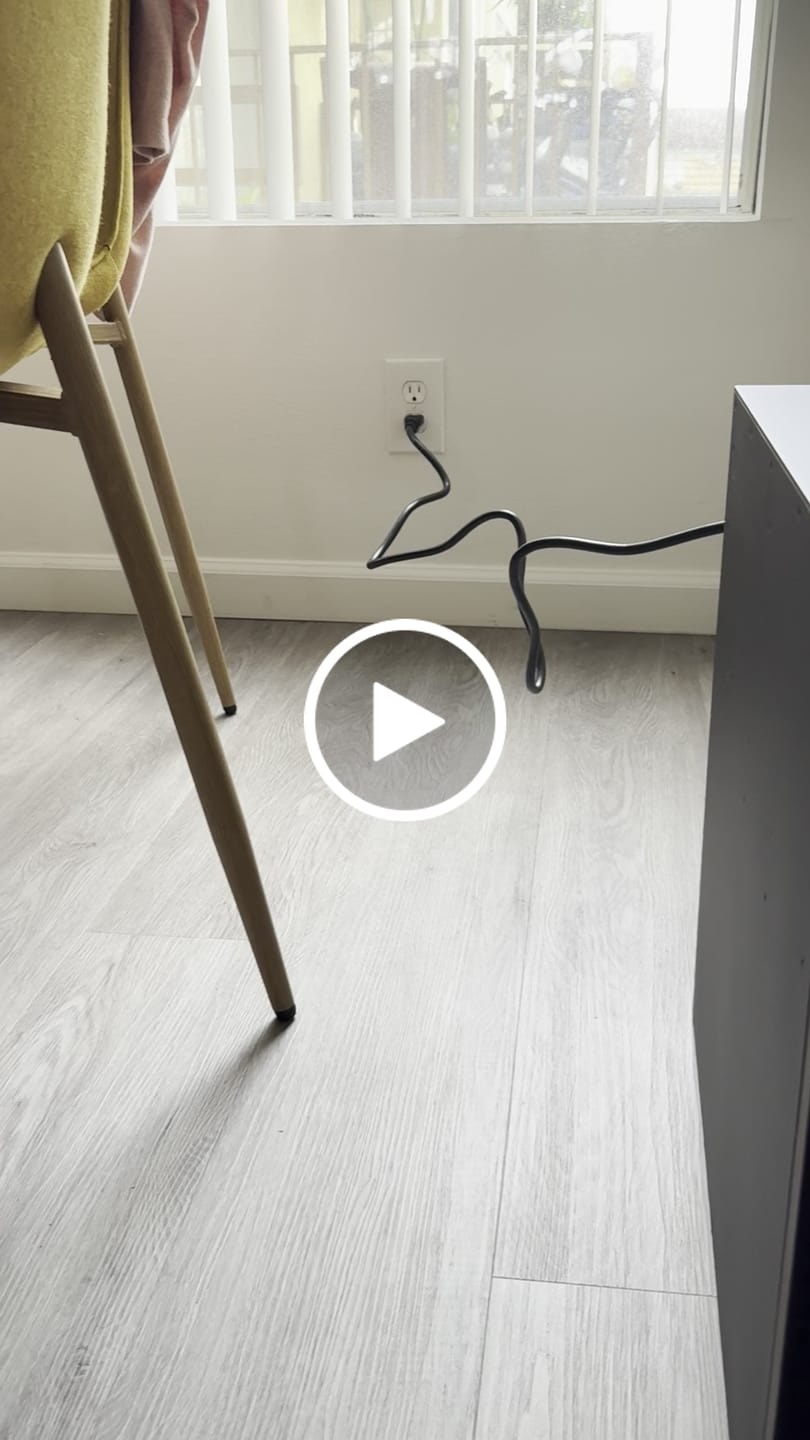 Customer video review of Canaan Avalon Q