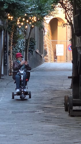 נפתלי וסילביה ה. review of ATTO SPORT קלנועית מתקפלת image 1 out of 5