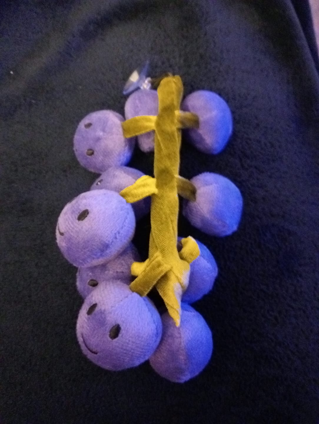Customer photo review of Gracious Grapes
