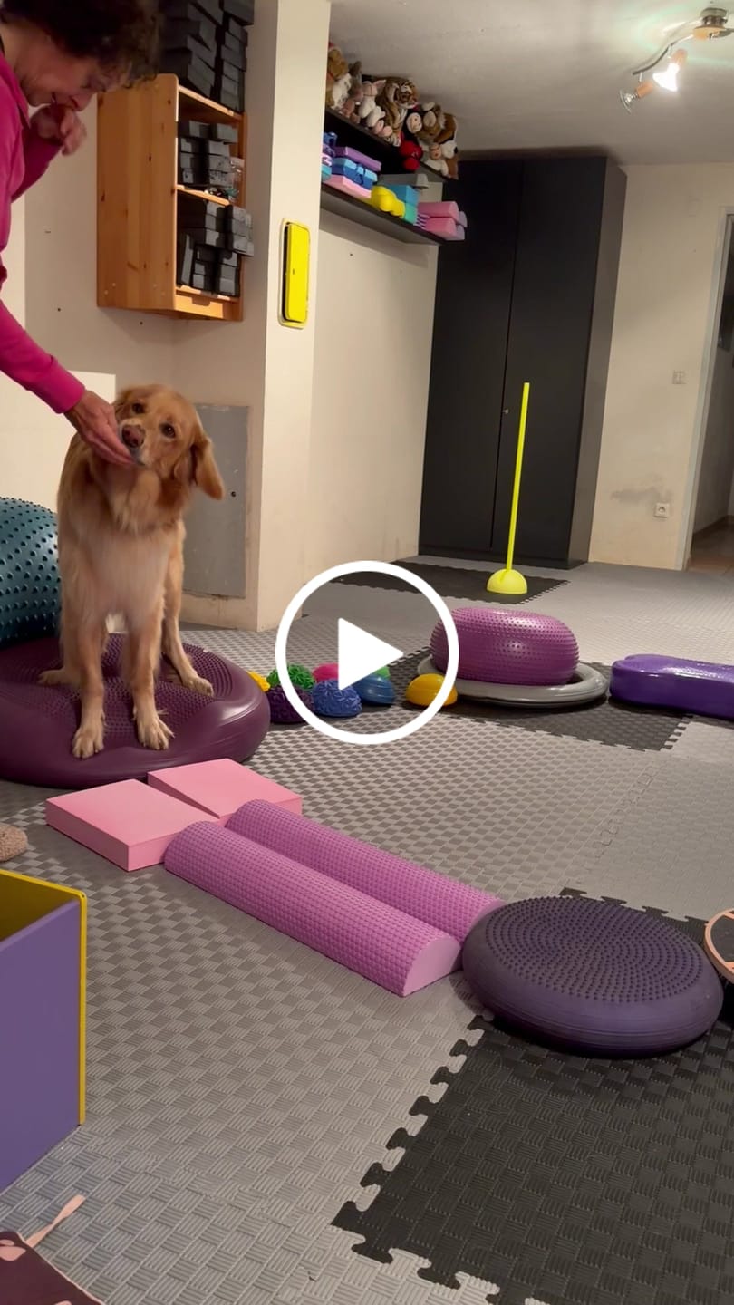 Customer video review of Puzzle Matte | 100cm x 100cm | Just-Mats