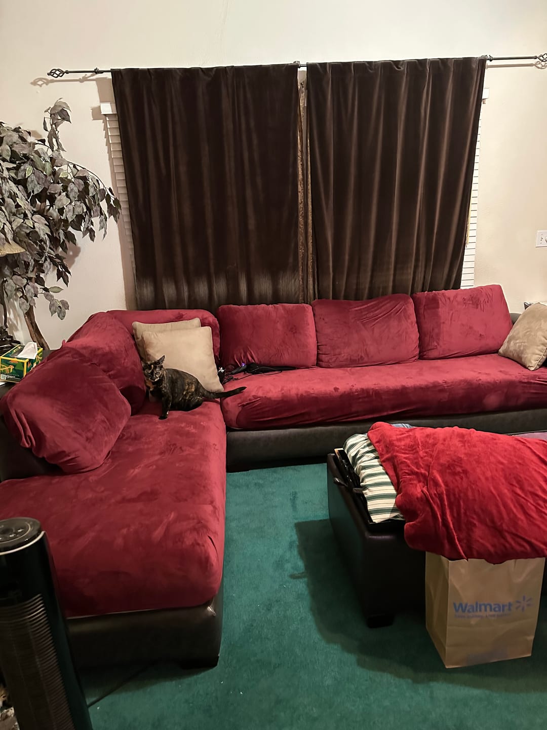 Customer photo review of Stretch Velvet Couch Cushion Covers Non-Slip Sofa Slipcovers