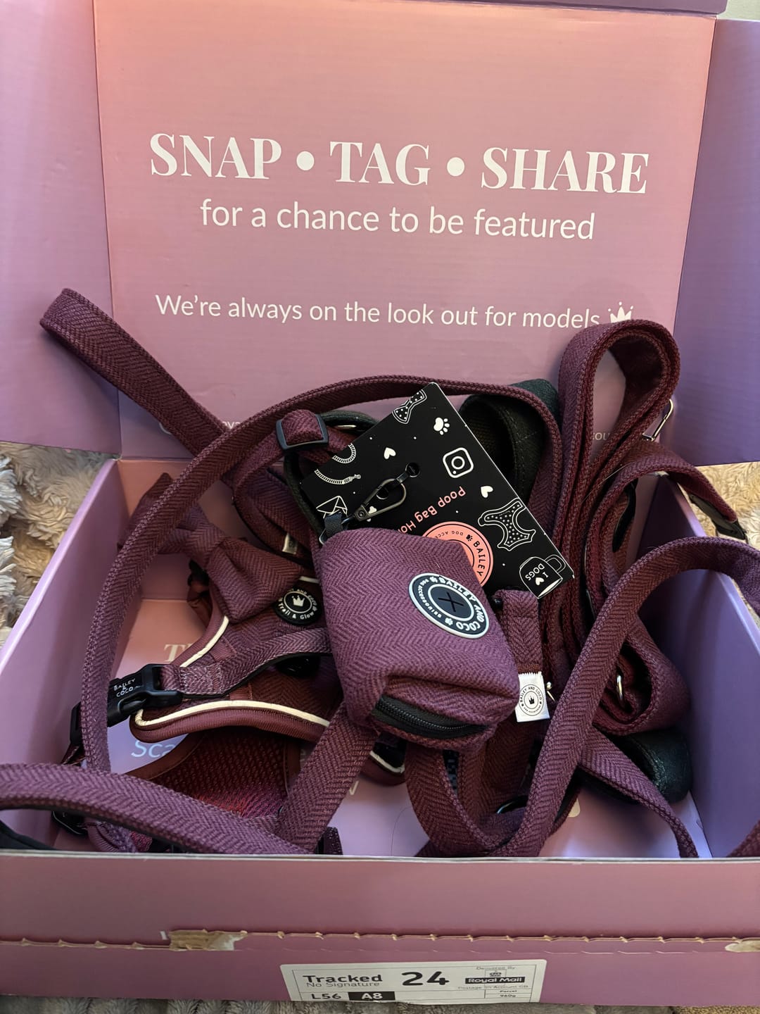 Customer photo review of Fabric Dog Lead 5ft - Mulberry Tweed