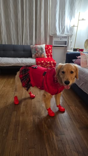 Customer photo review of WagWellies® by wagwear