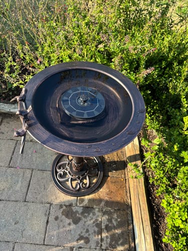 Customer photo review of Fontana Cast Iron Bird Bath with Solar Water Fountain Pump