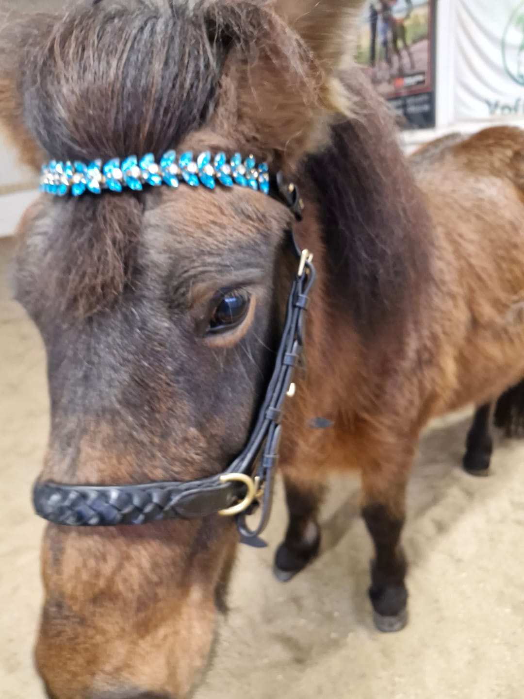 Customer photo review of Iris browband