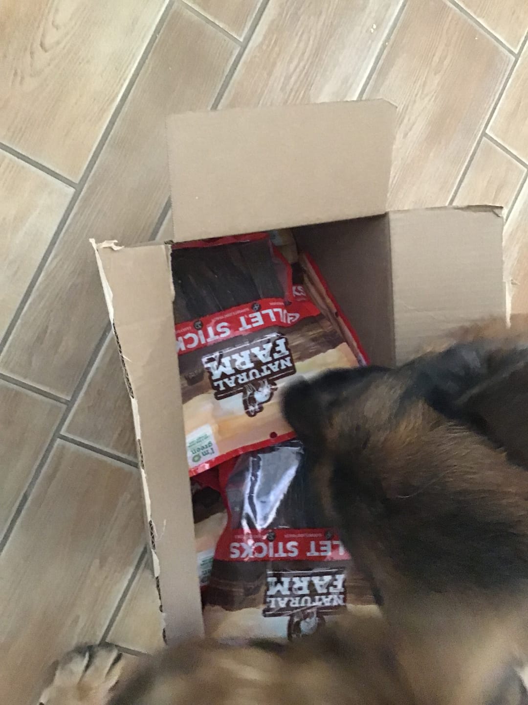 Customer photo review of Beef Jerky Treats for Dogs