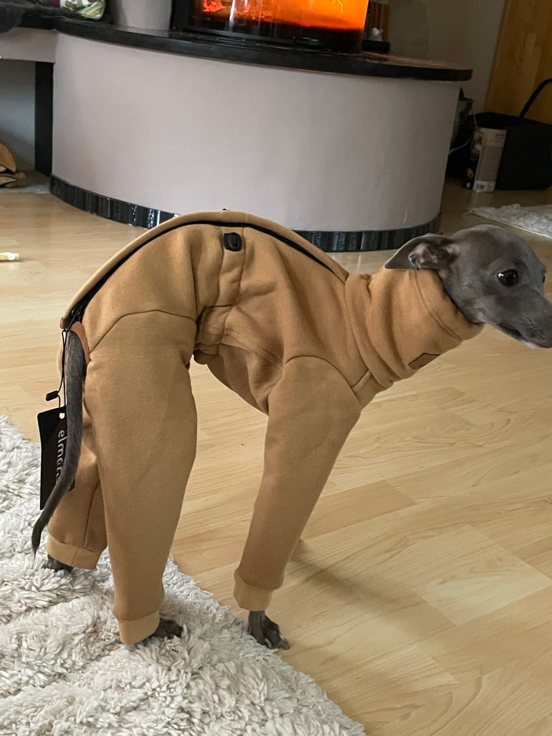 Customer photo review of Nuuk Mini "Camel"