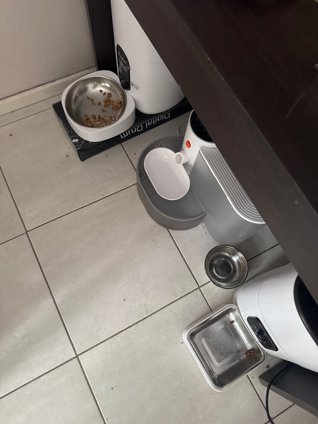 Customer photo review of Probioticos para perros | Fortalecé la salud de tu perrhijo desde adentro