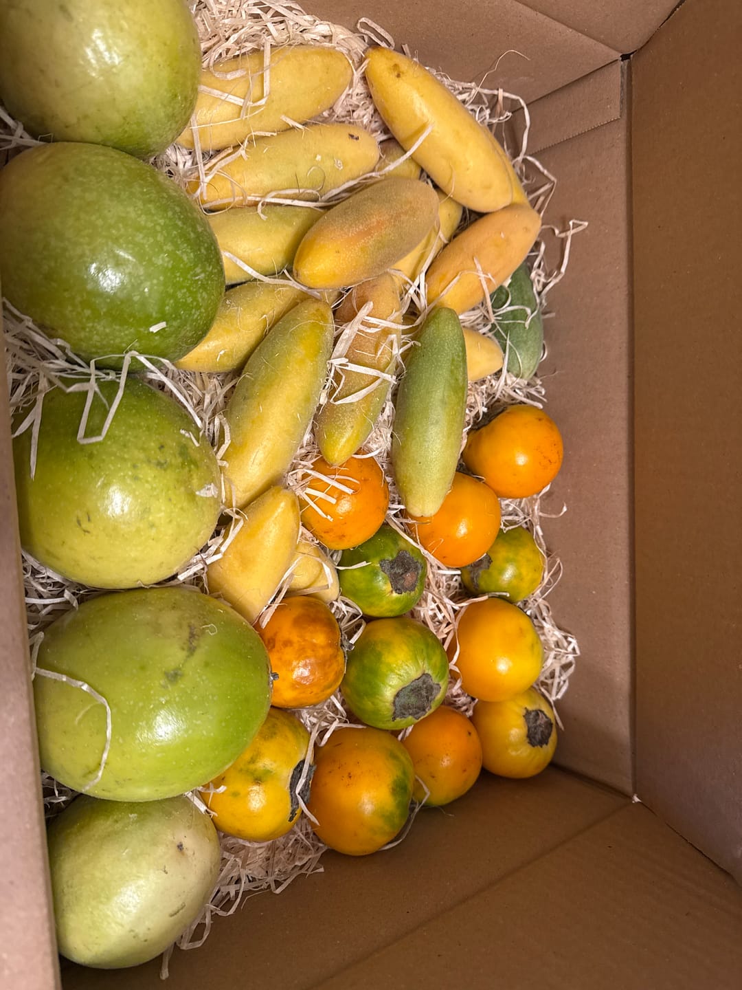 Customer photo review of Lulo (Naranjilla)