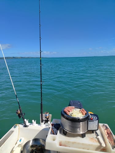 Customer photo review of COBB Grill Gas Bundle